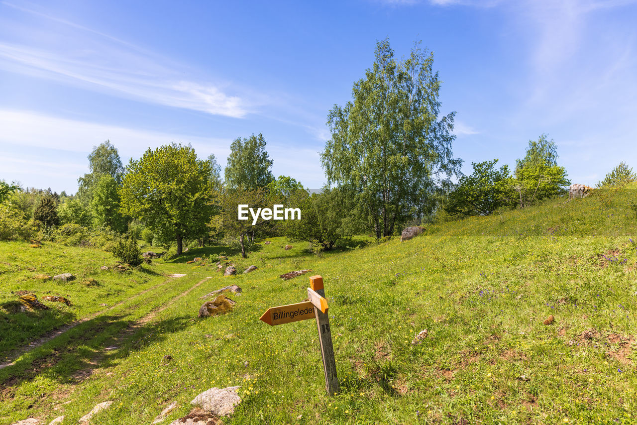 Hiking trail in a beautiful sunny landscape