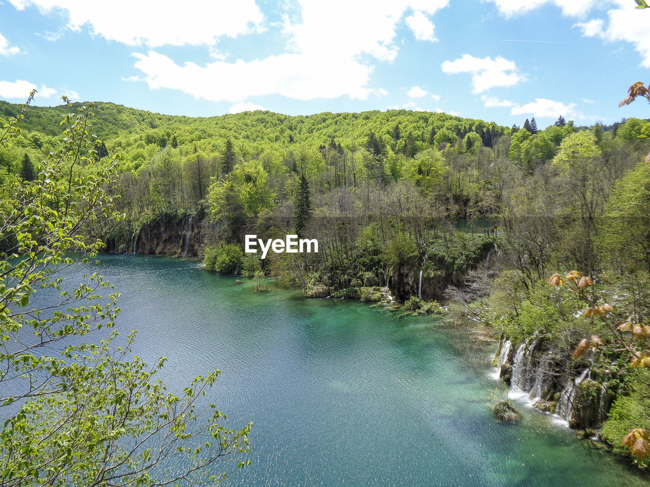 Scenic view of river amidst trees against sky