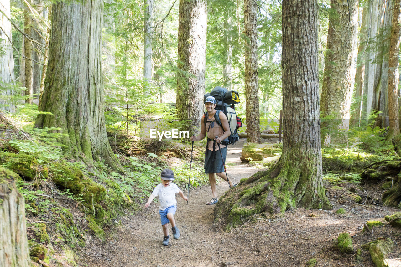 Father and son hiking on trail through lush old growth forest