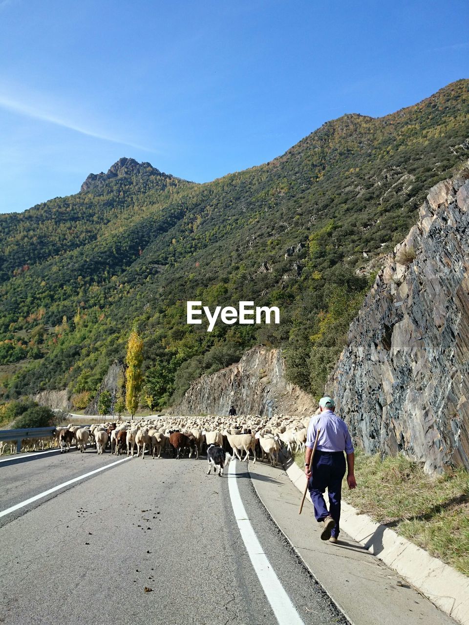 Rear view of man walking on road against mountains