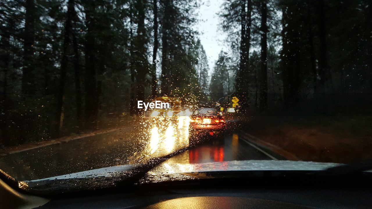 Trees seen through wet car windshield during rainy season