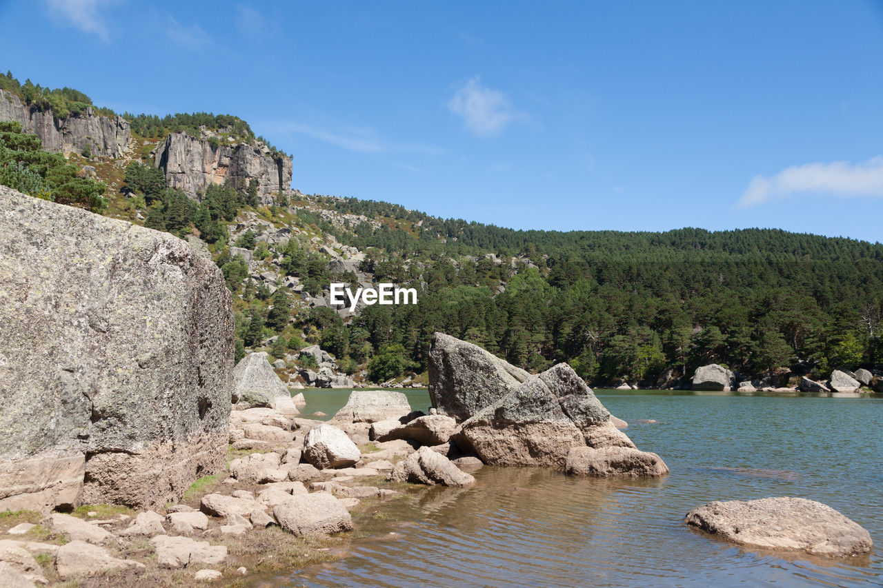 water, sky, rock, nature, tree, sea, scenics - nature, land, shore, plant, beauty in nature, vacation, environment, coast, no people, landscape, mountain, cloud, tranquility, travel destinations, blue, tranquil scene, travel, day, non-urban scene, outdoors, pinaceae, pine tree, beach, coniferous tree, forest, body of water, bay, wilderness, tourism, wadi, geology, cliff