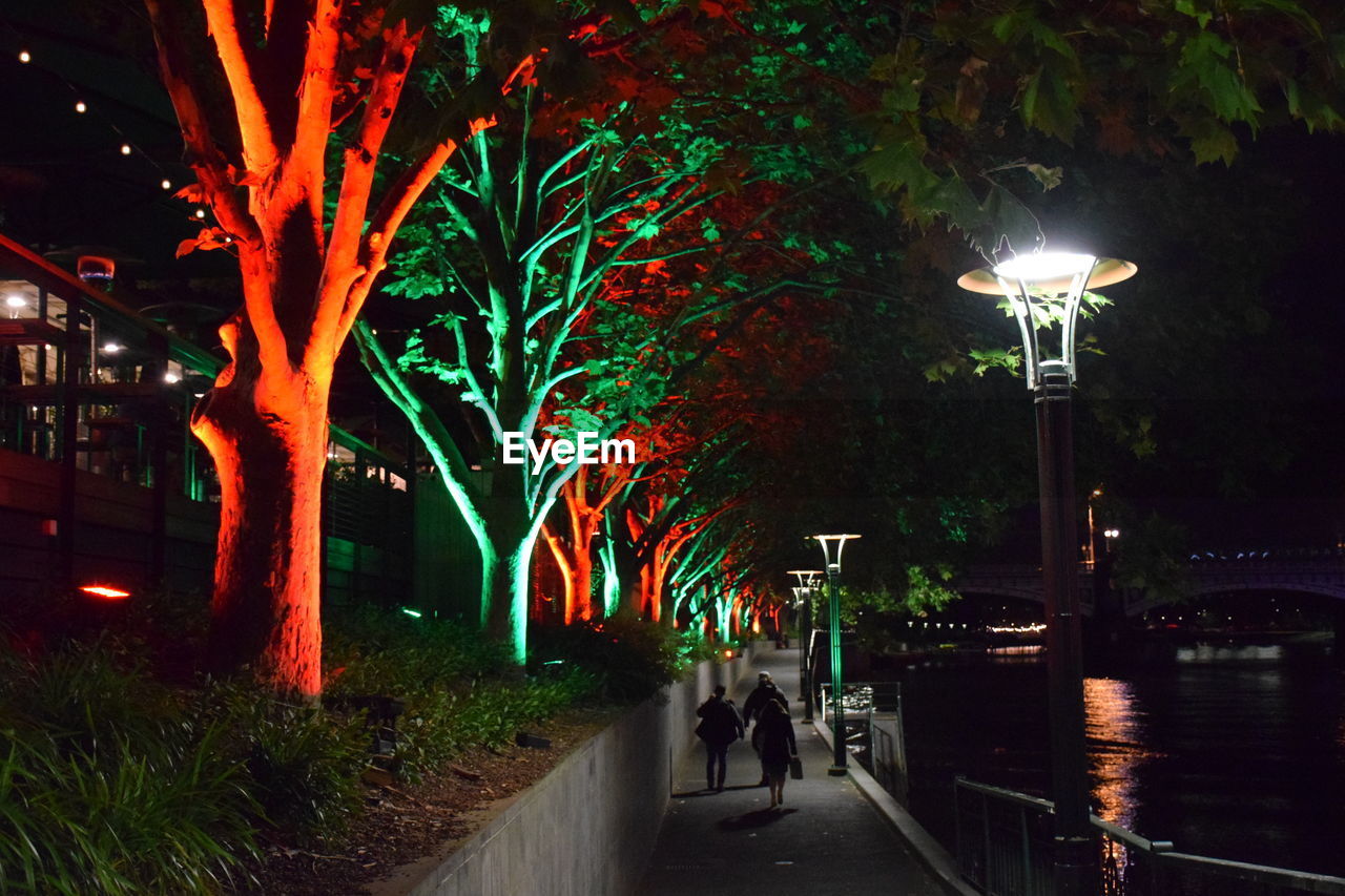 Illuminated street lights in city at night