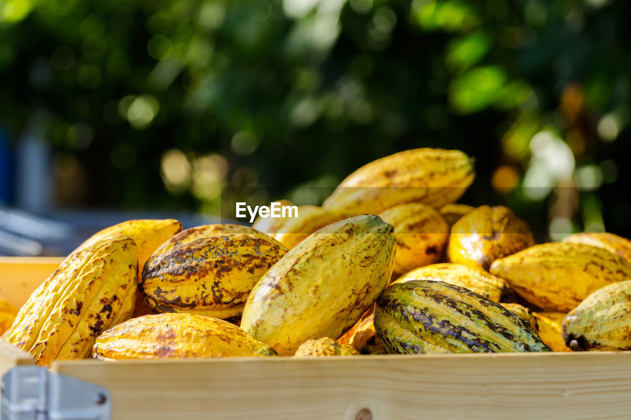 CLOSE-UP OF FRESH FRUITS FOR SALE IN MARKET