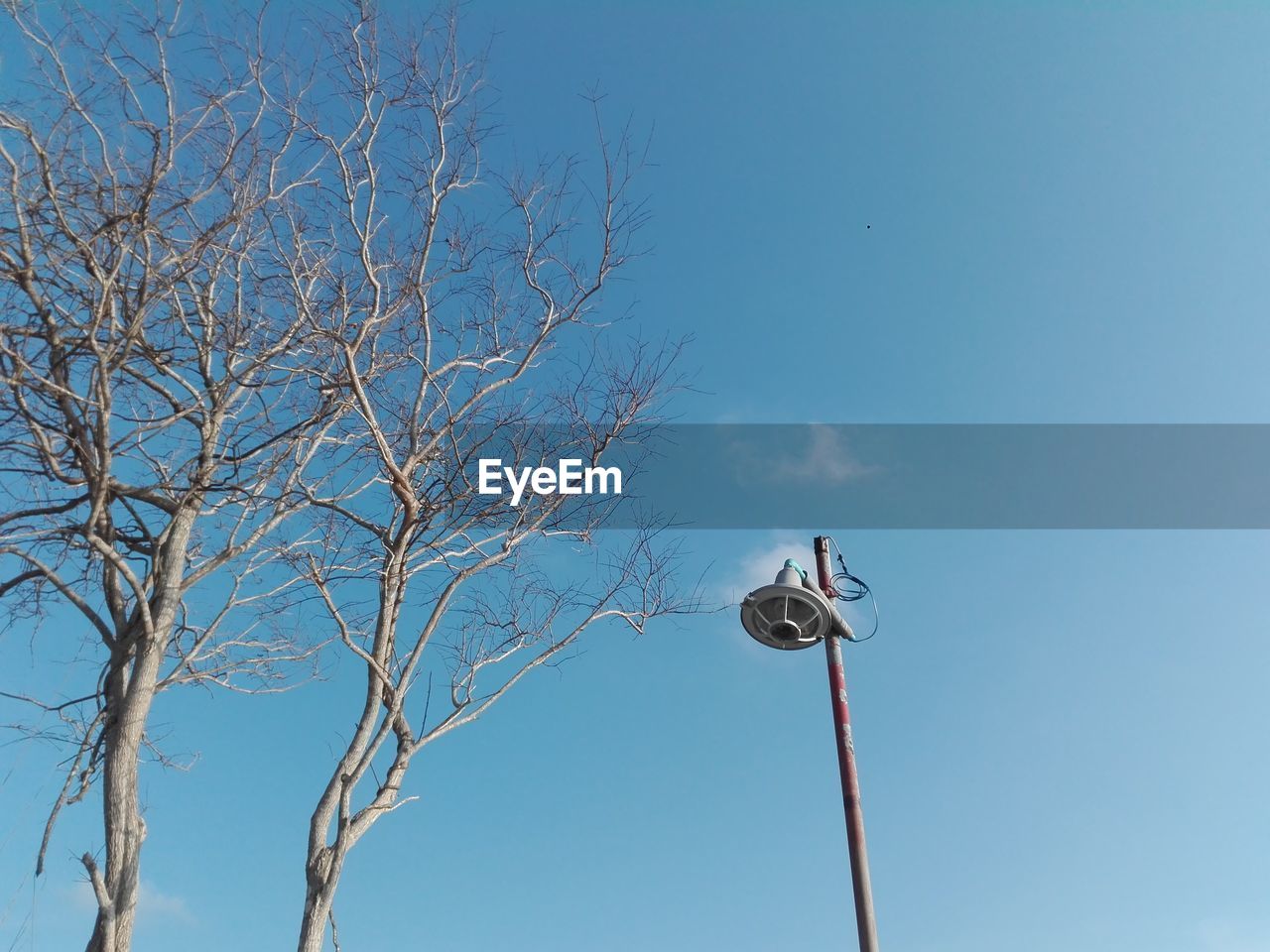 Low angle view of street light against clear blue sky