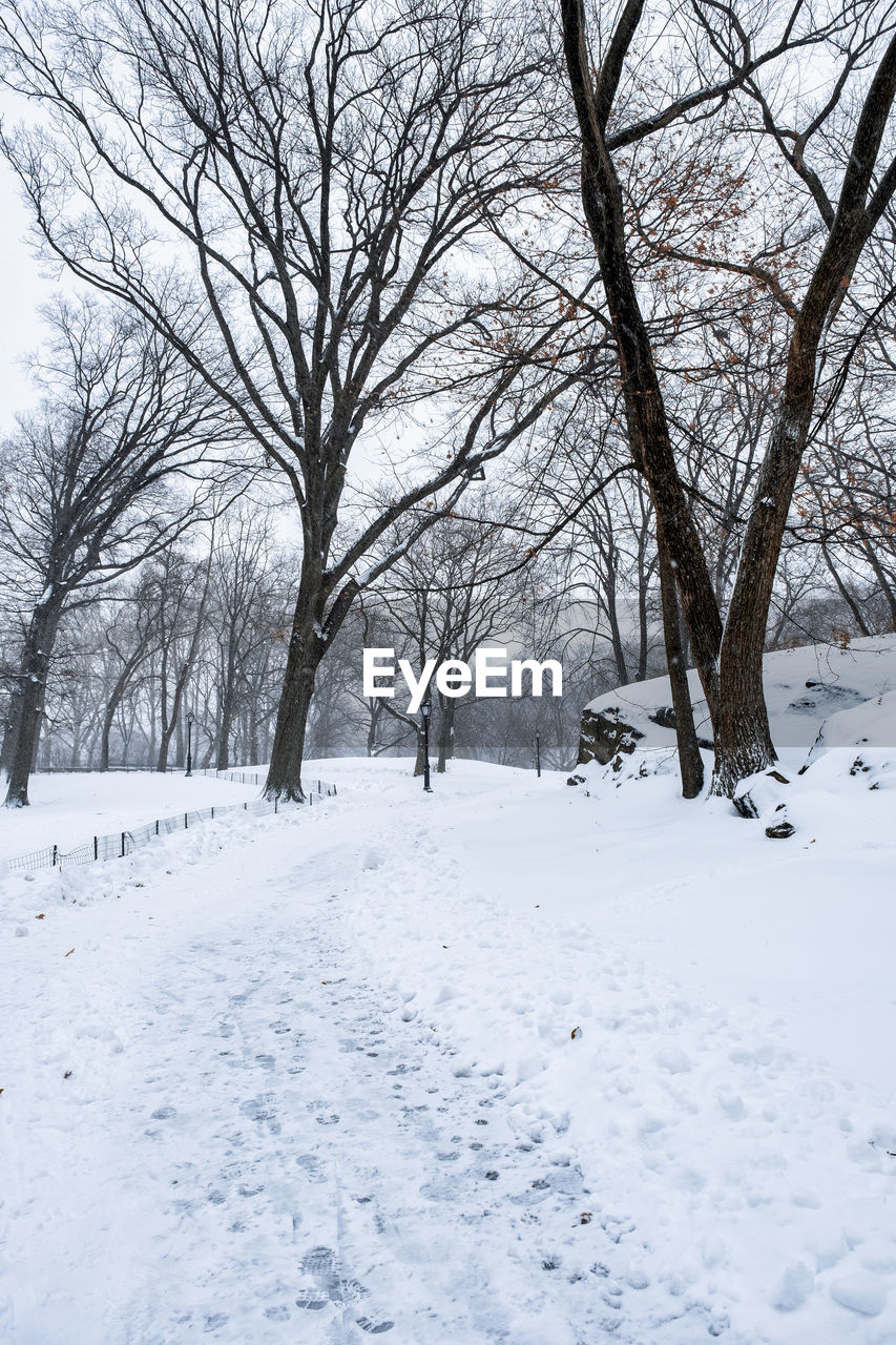 BARE TREES ON SNOW COVERED FIELD AGAINST CLEAR SKY