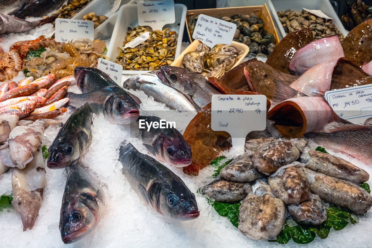 food, food and drink, seafood, freshness, market, fish, retail, variation, for sale, animal, fish market, market stall, large group of objects, abundance, healthy eating, wellbeing, price tag, business, raw food, no people, business finance and industry, high angle view, public space, city, fishing, cold temperature, still life, fishing industry, arrangement, dish, ice, meal, sale, outdoors, crustacean, retail display, container