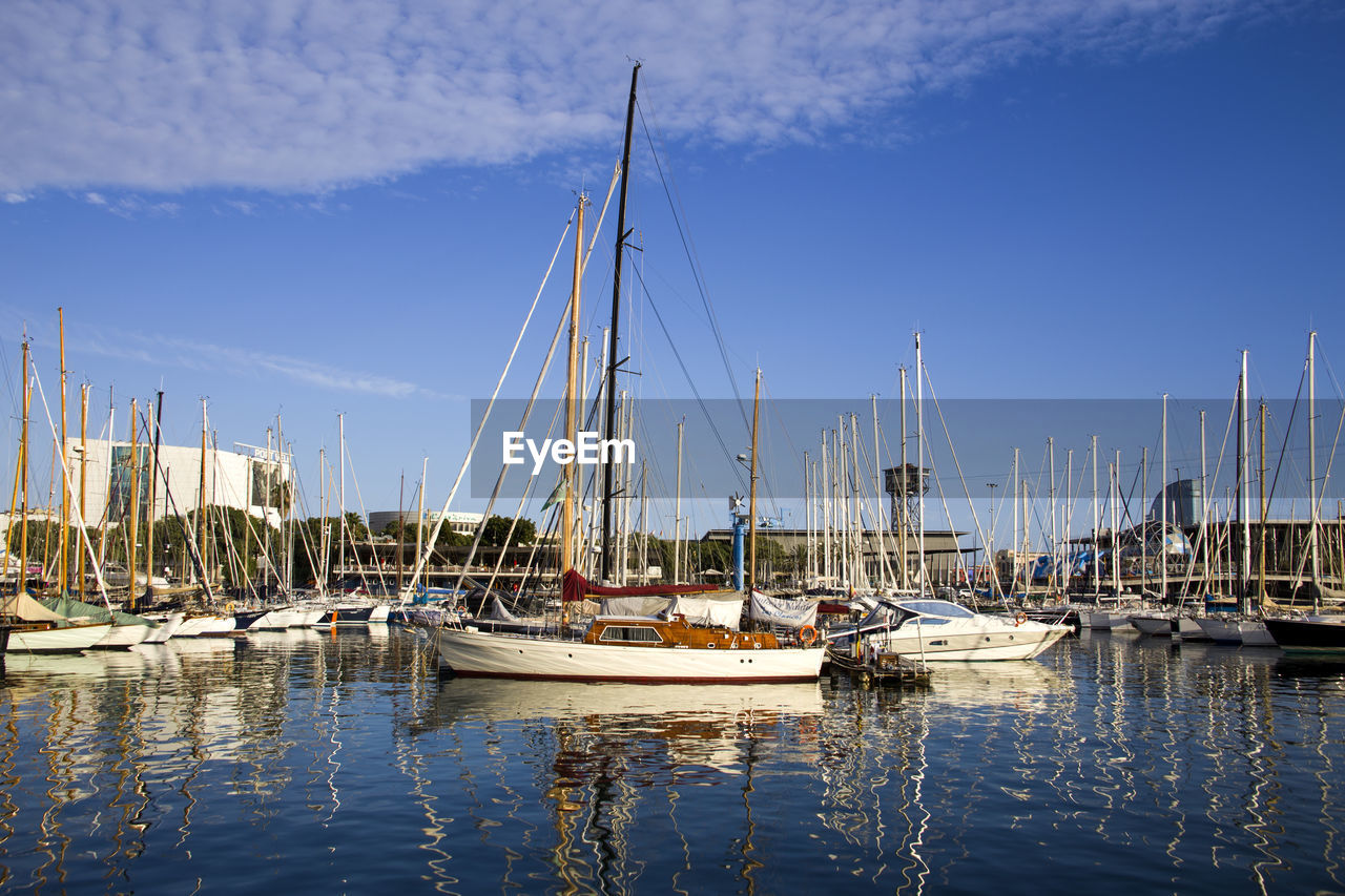 SAILBOATS IN HARBOR