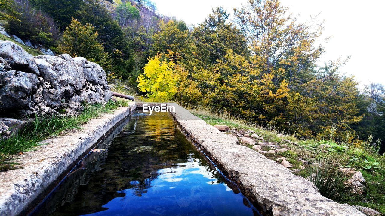 Scenic view of river amidst trees against sky