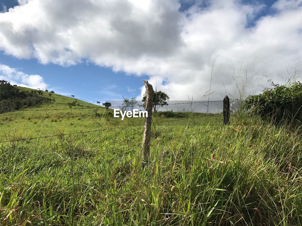 AGRICULTURAL FIELD AGAINST SKY