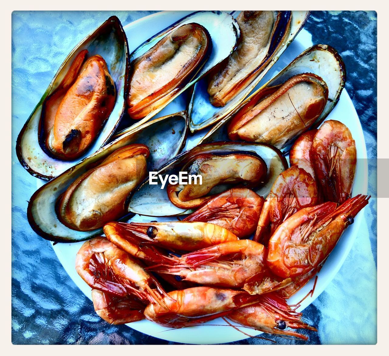 Oyster and shrimp served in a plate