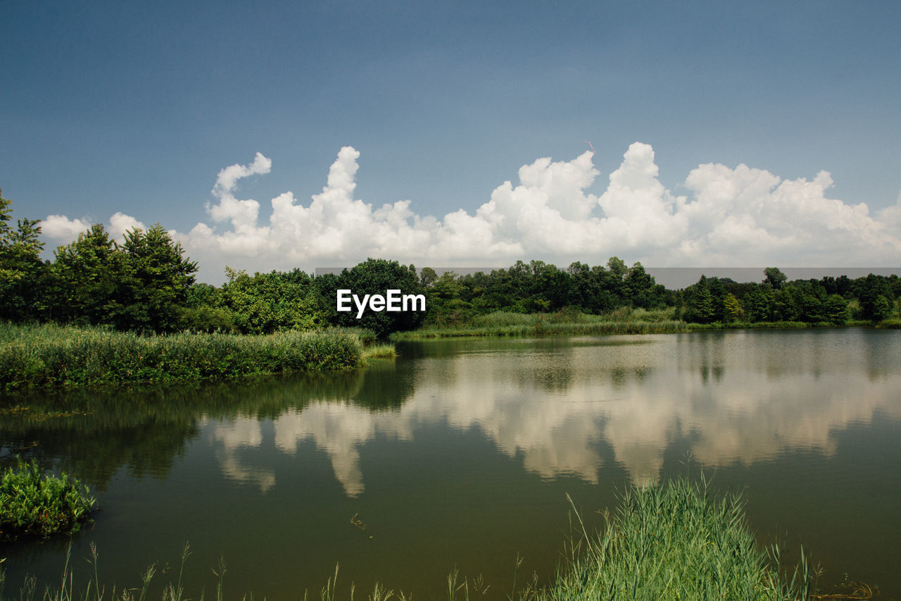 Scenic shot of calm countryside lake