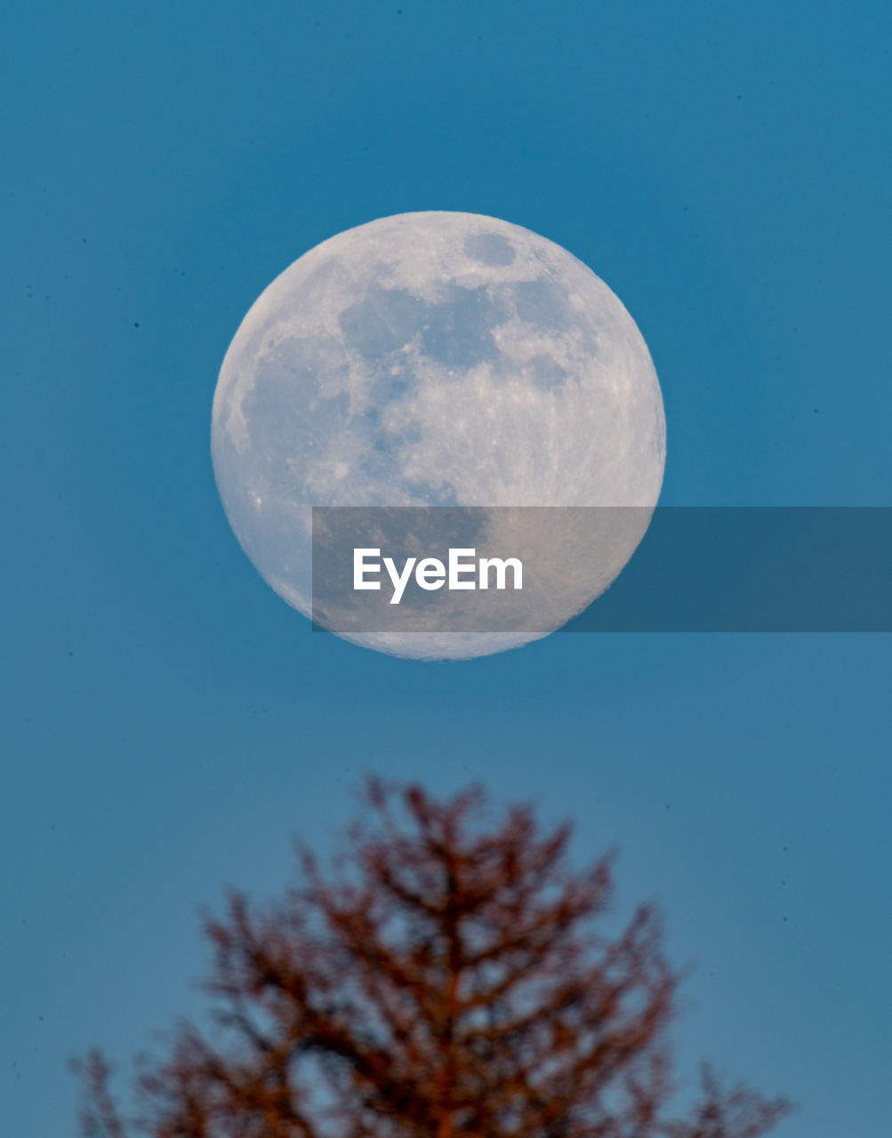 Low angle view of moon against blue sky