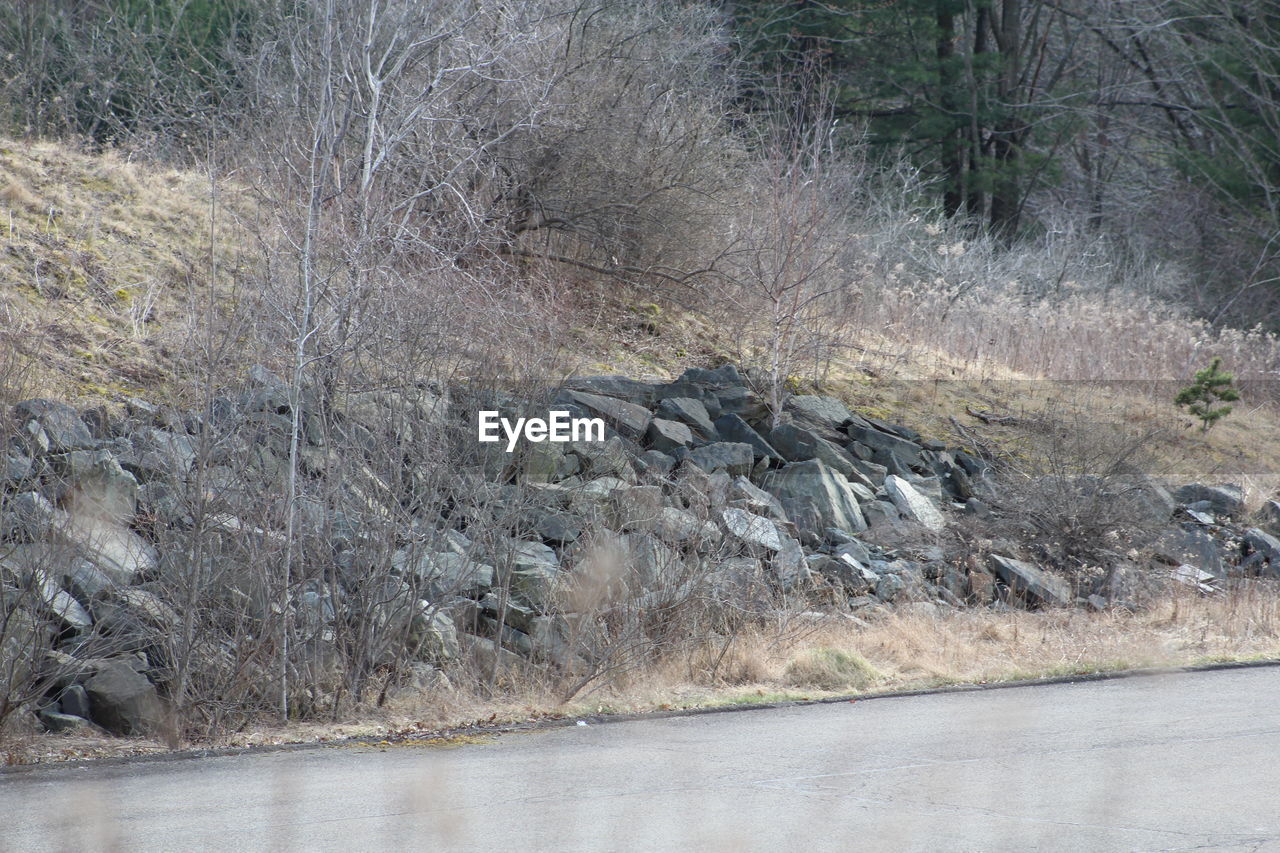 STREAM FLOWING THROUGH ROCKS