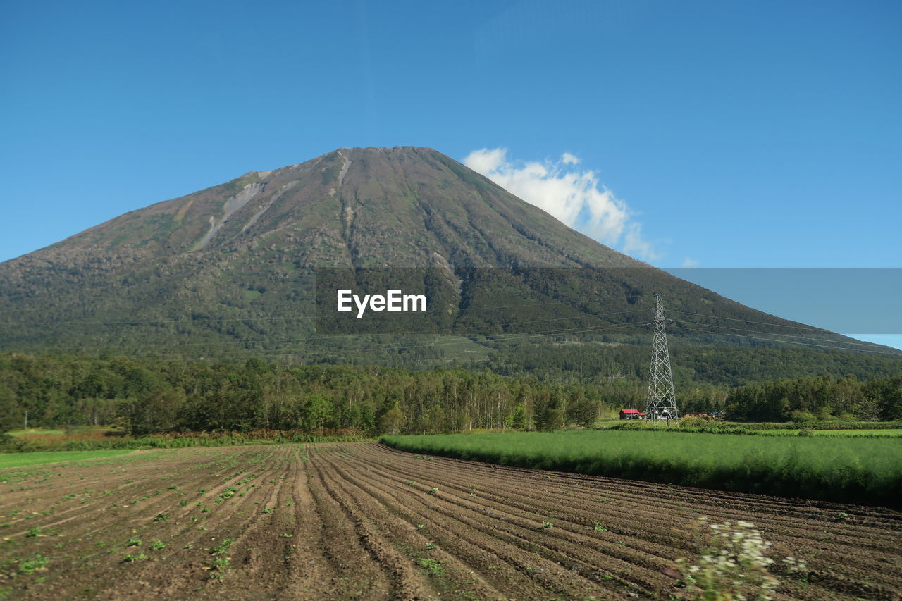 Scenic view of agricultural field against blue sky