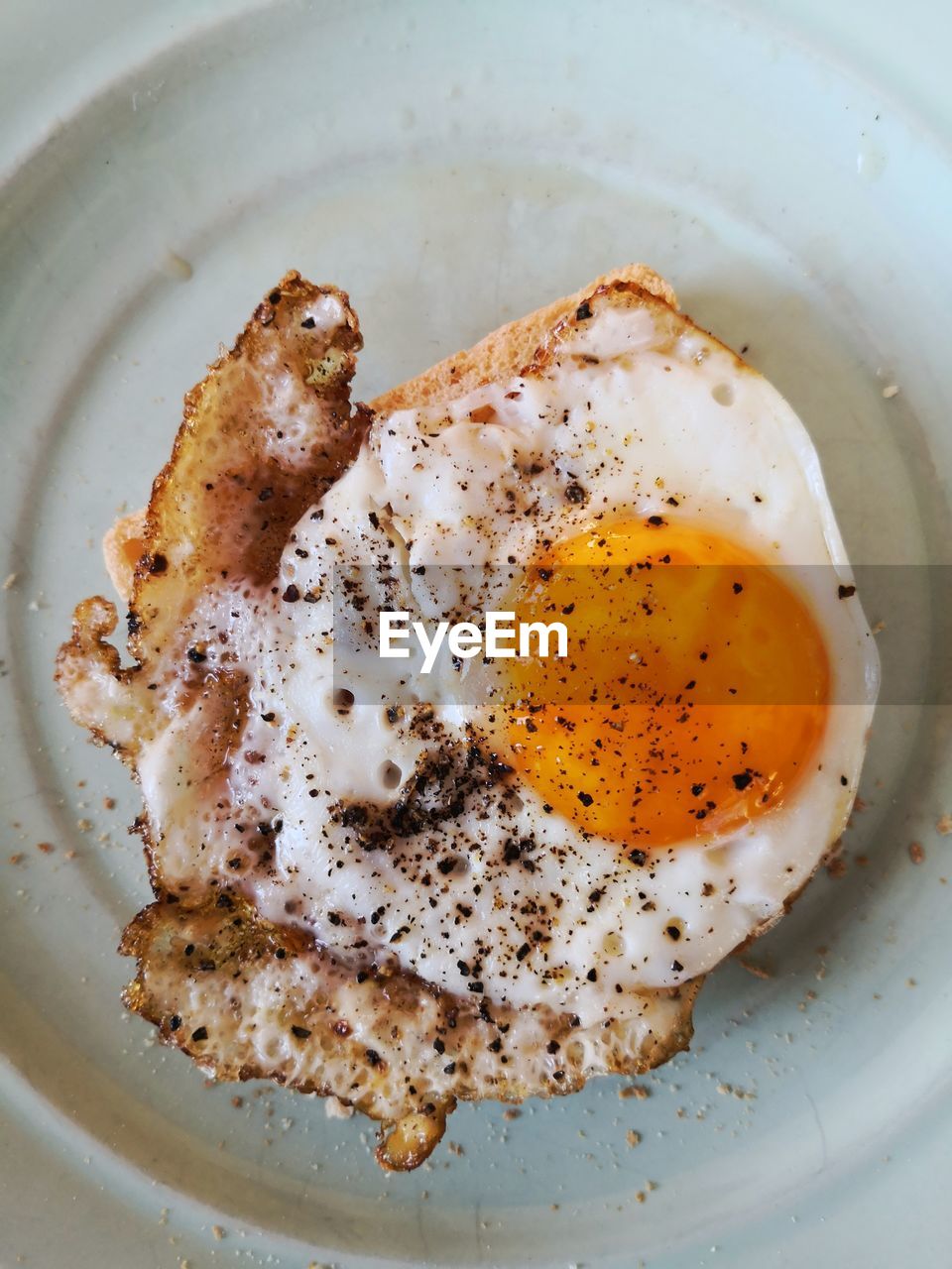 Close-up of food in plate