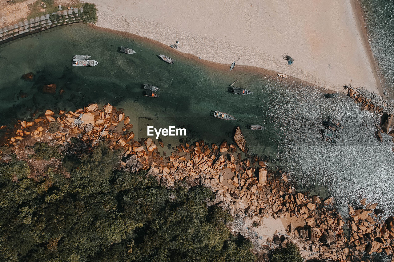 High angle view of plants on beach