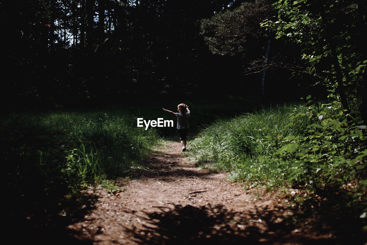 A child enjoys walking in the woods.