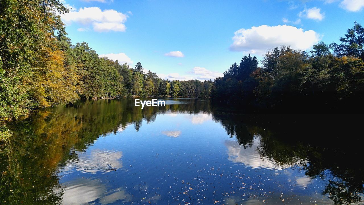 SCENIC VIEW OF LAKE AND TREES AGAINST SKY