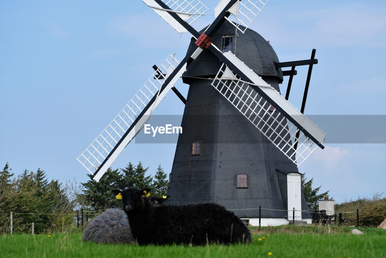 TRADITIONAL WINDMILL ON FIELD AGAINST CLEAR SKY