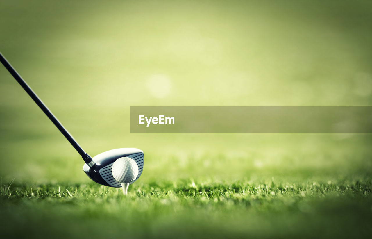 close-up of golf ball on field