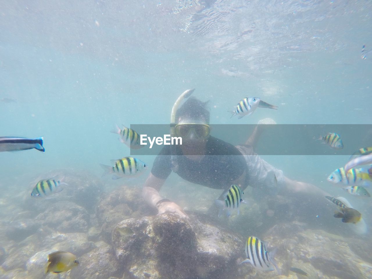 Man swimming in sea