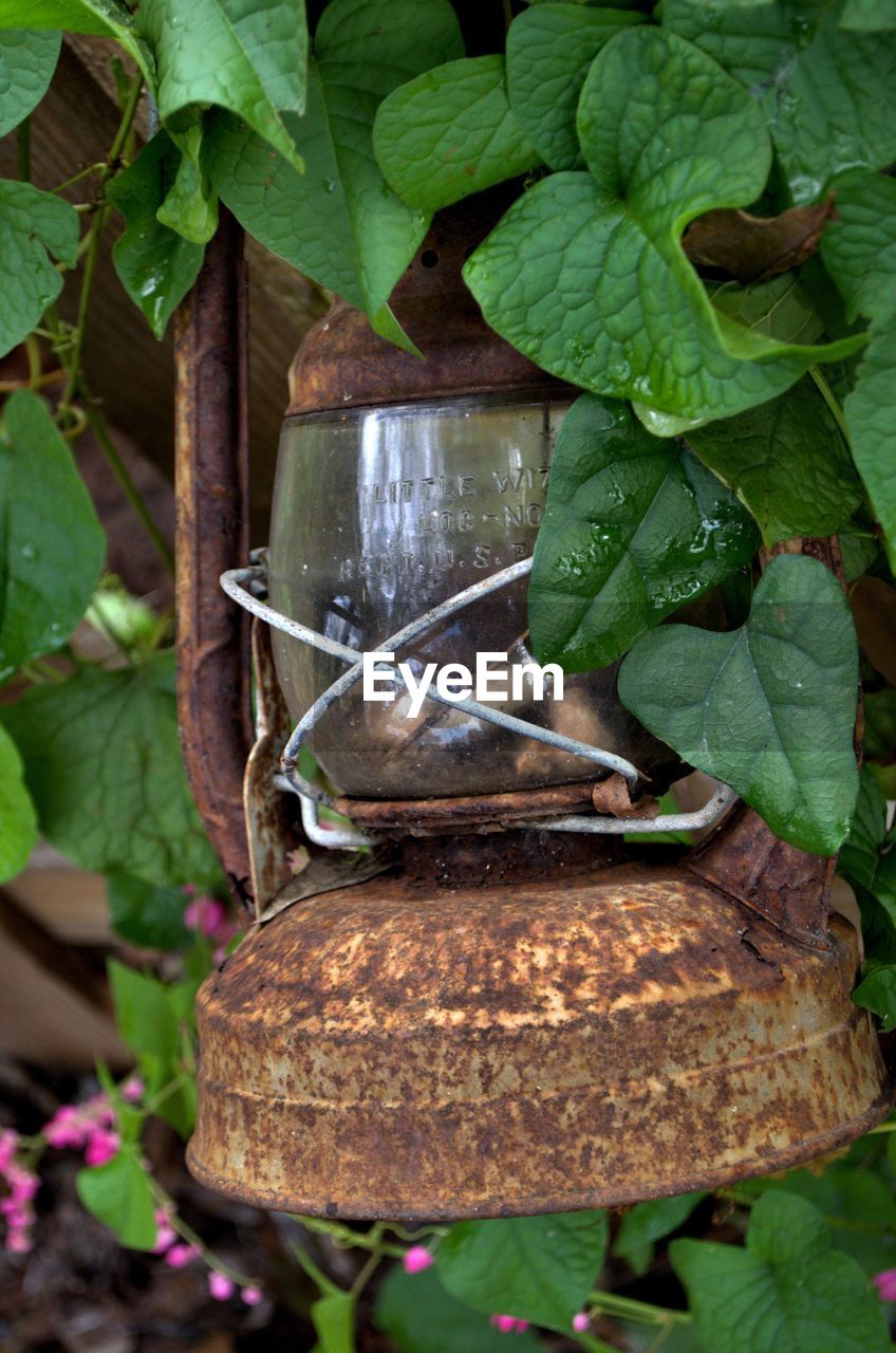 Close-up of rusty old-fashioned lantern hanging on plant
