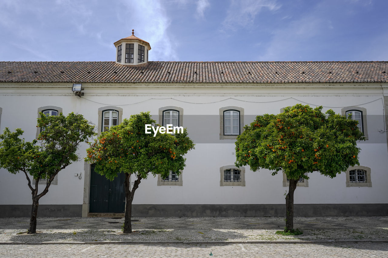 Low angle view of building with orange trees against sky in old town faro