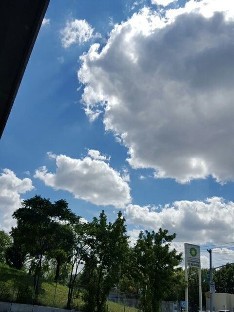 LOW ANGLE VIEW OF TREES AGAINST CLOUDY SKY