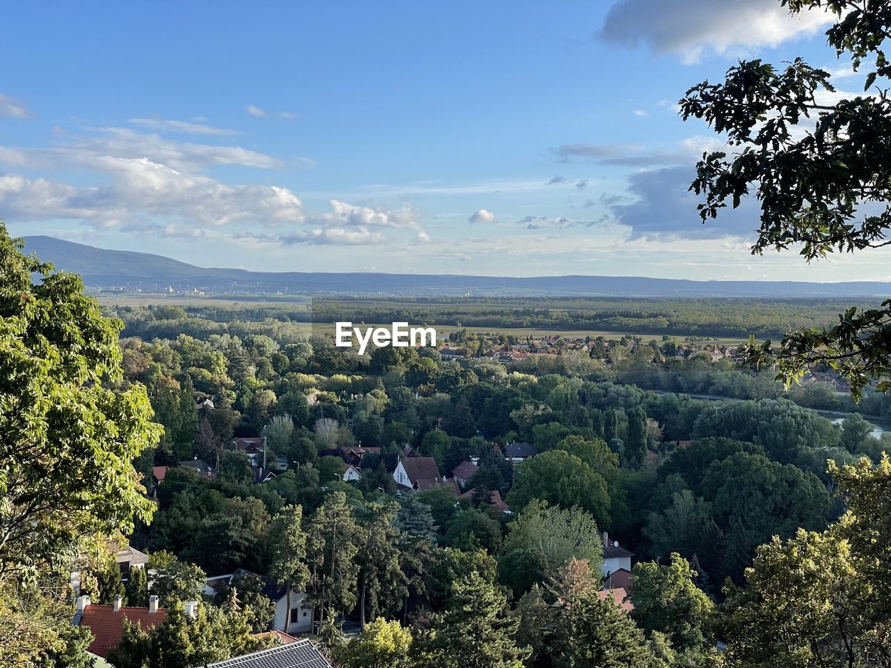 plant, tree, sky, landscape, nature, environment, scenics - nature, beauty in nature, cloud, mountain, land, growth, no people, tranquility, forest, outdoors, rural area, city, tranquil scene, blue, flower, day, architecture, green, autumn, high angle view, rural scene, sunlight, field, building, leaf, travel, travel destinations, food and drink, horizon