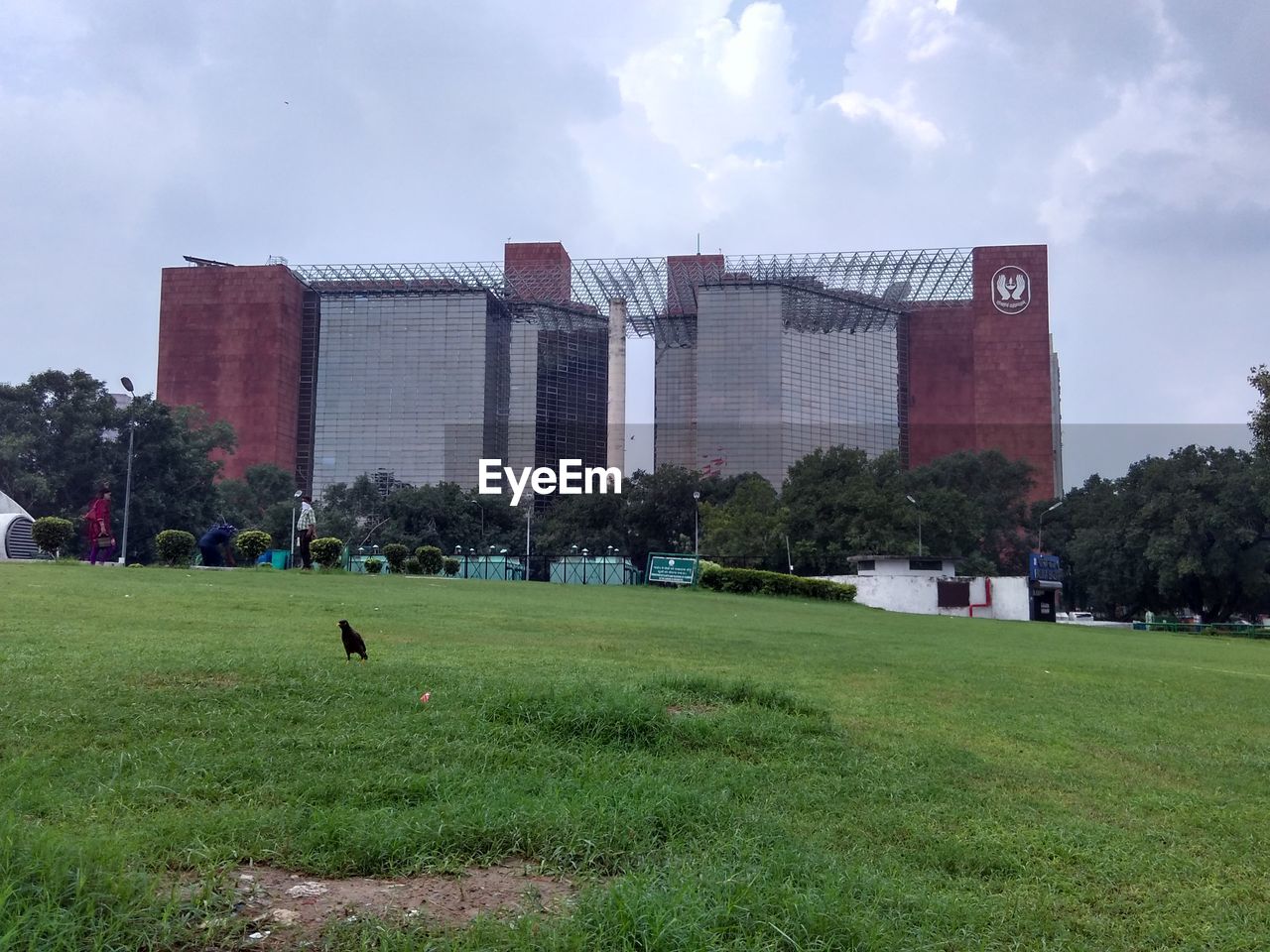 PEOPLE ON GRASSY FIELD IN PARK