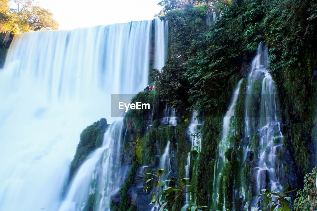 WATERFALL IN FOREST