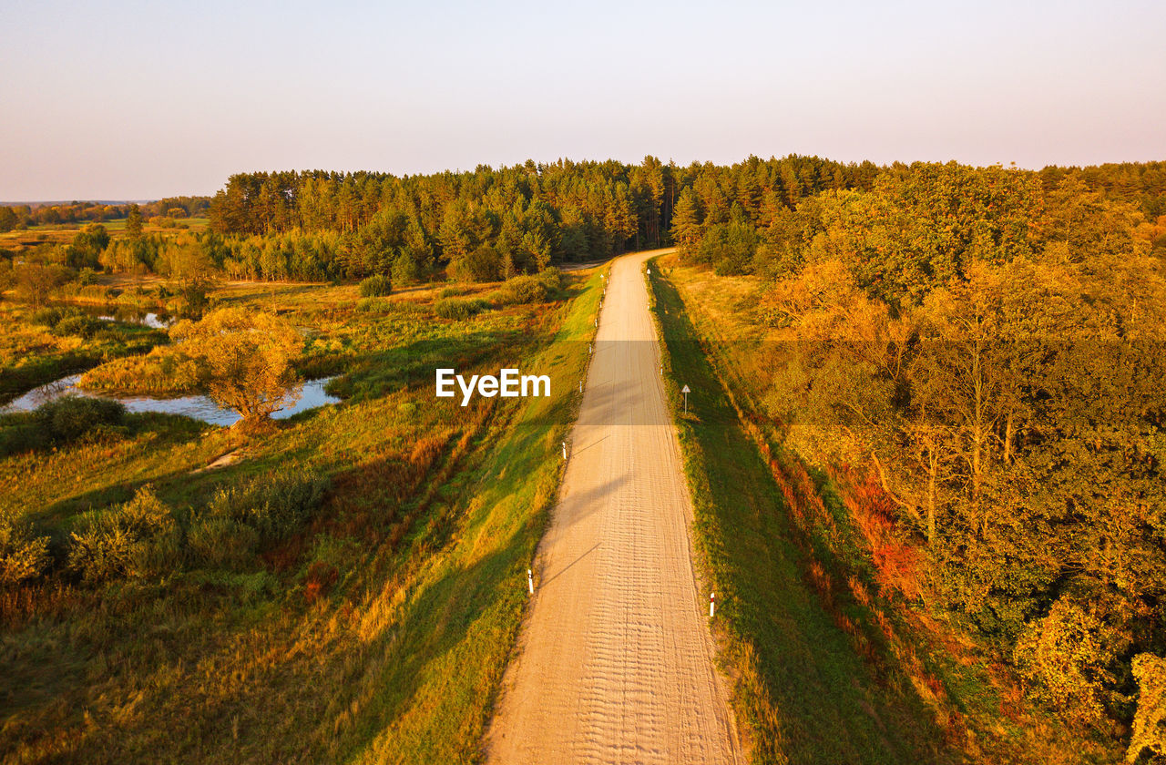 ROAD AMIDST TREES AGAINST SKY DURING AUTUMN