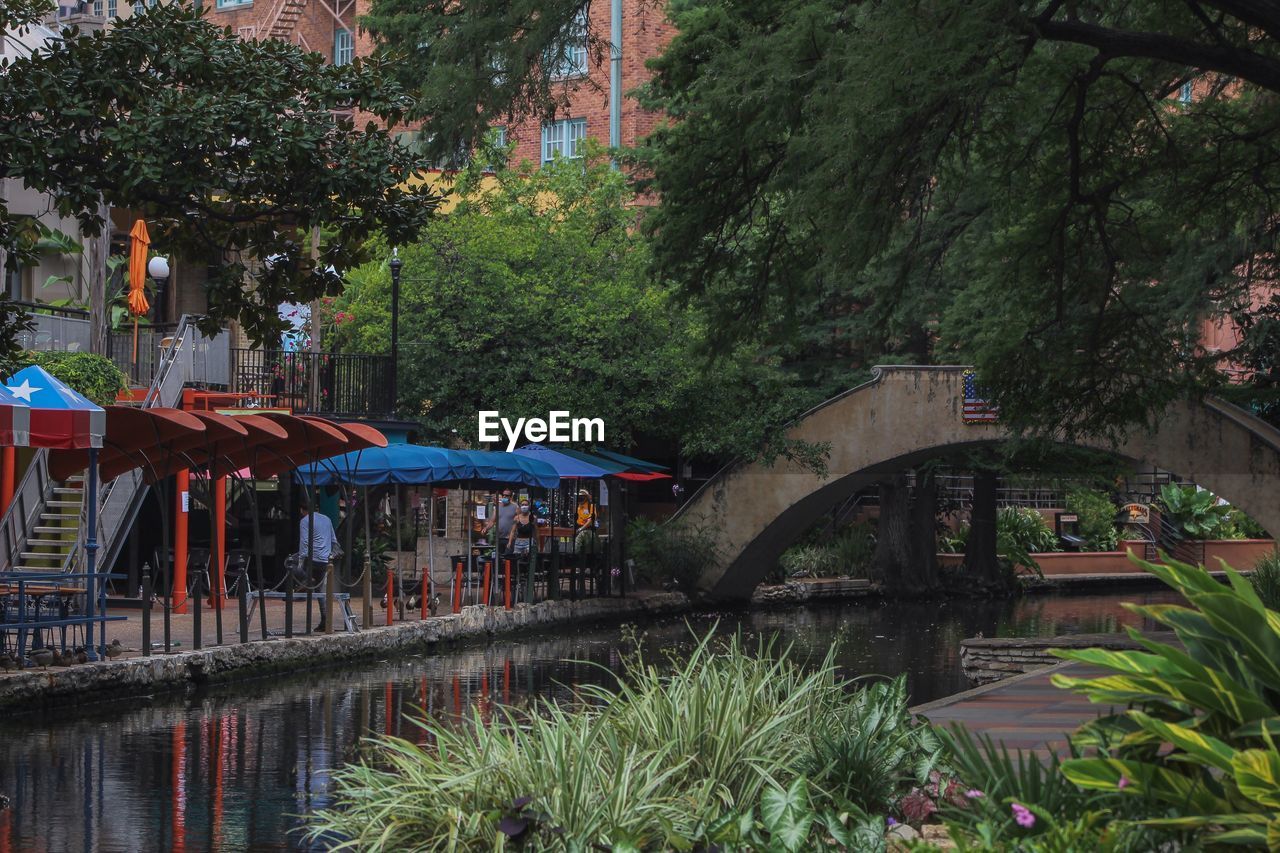 plant, tree, architecture, built structure, water, nature, bridge, river, growth, building exterior, waterway, flower, day, transportation, park, no people, footbridge, outdoors, city, garden, green, travel destinations