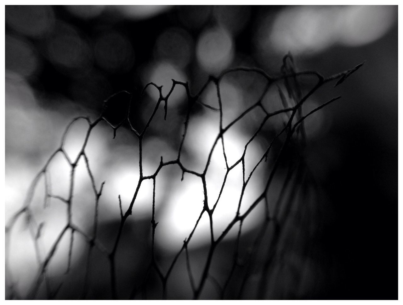 CLOSE-UP OF CHAINLINK FENCE