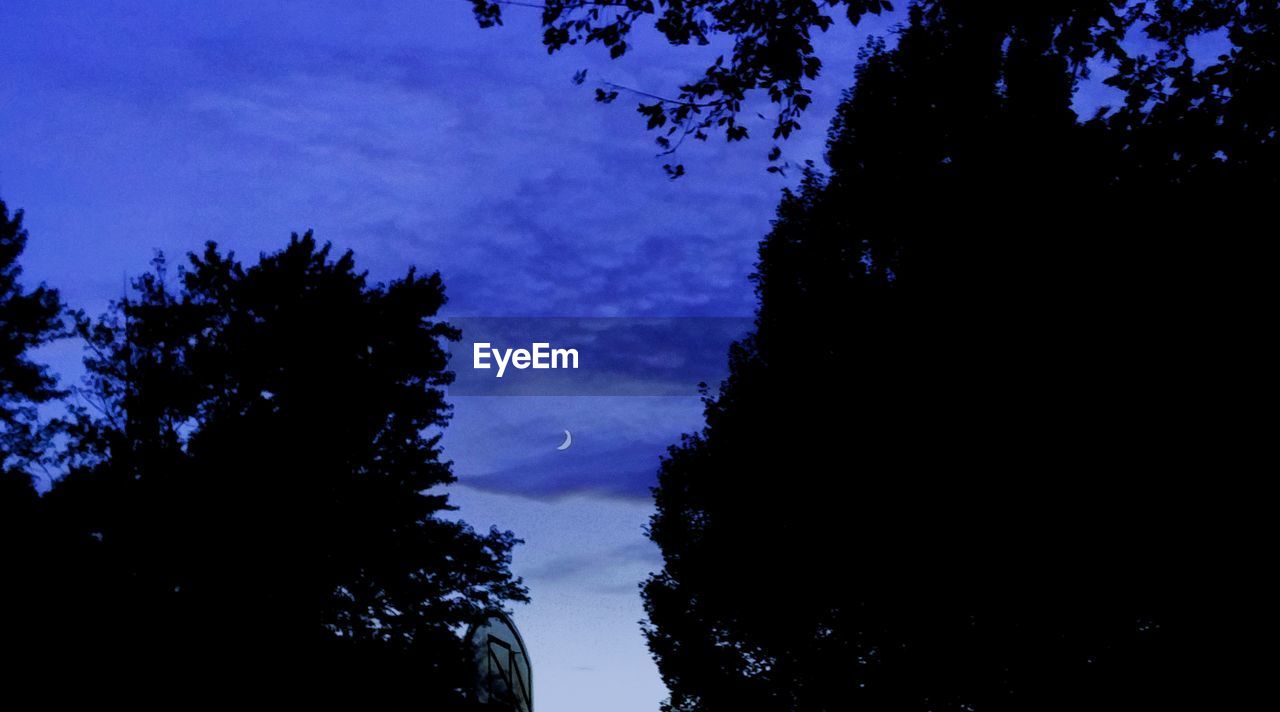 Low angle view of silhouette trees against sky