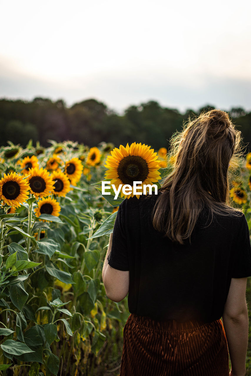 REAR VIEW OF WOMAN STANDING BY SUNFLOWER FIELD