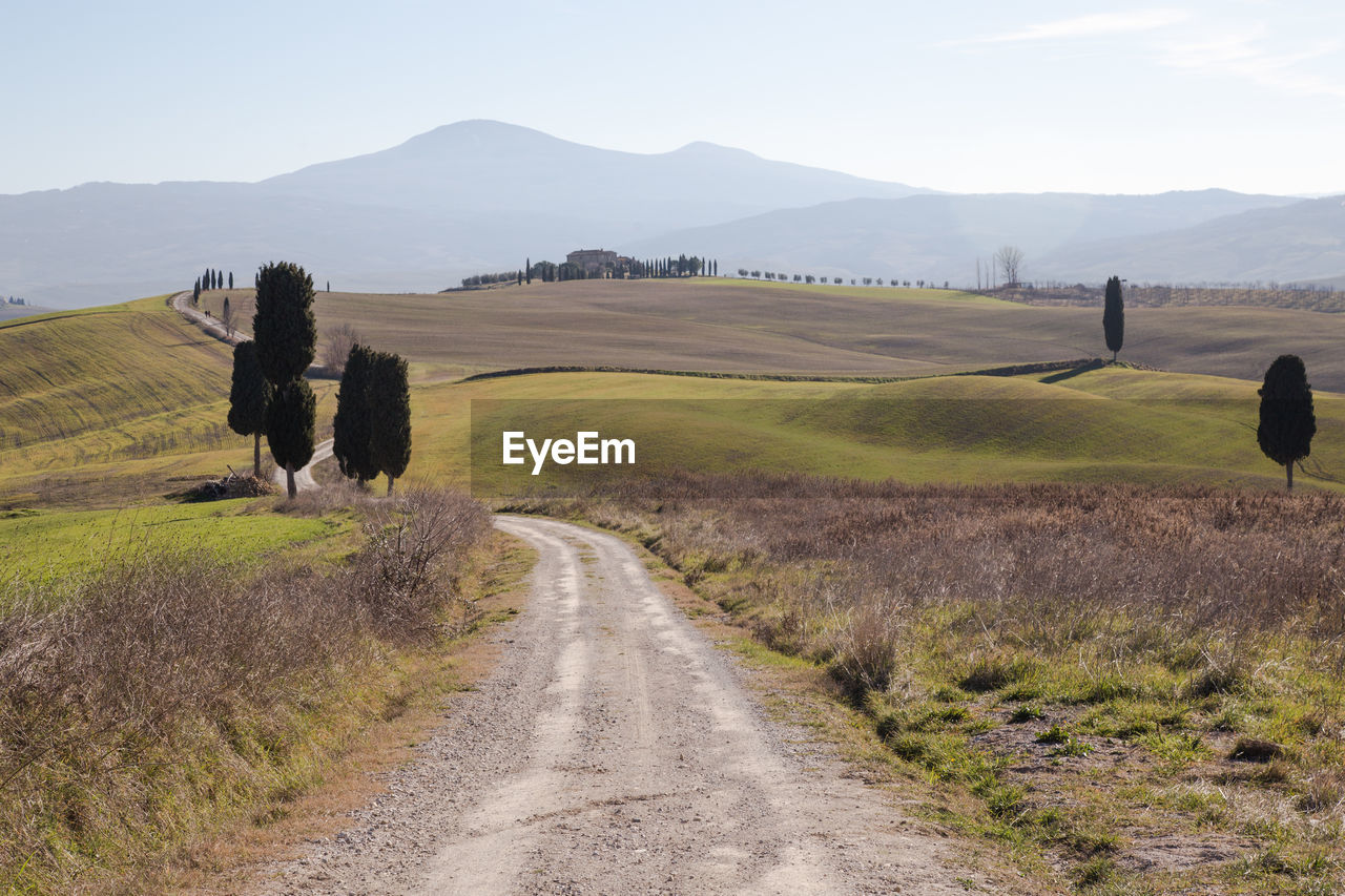 ROAD PASSING THROUGH FIELD