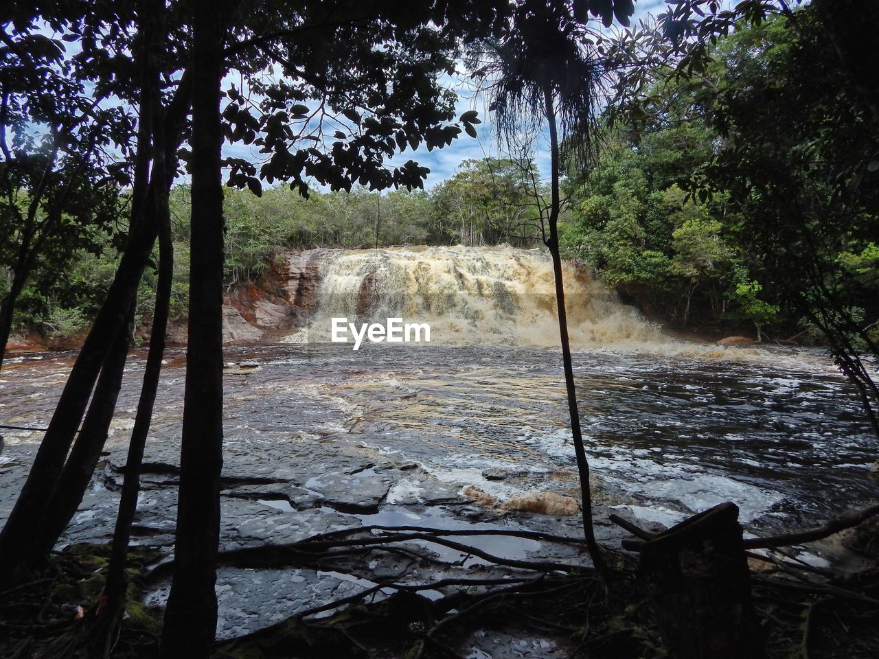 Scenic view of waterfall in forest