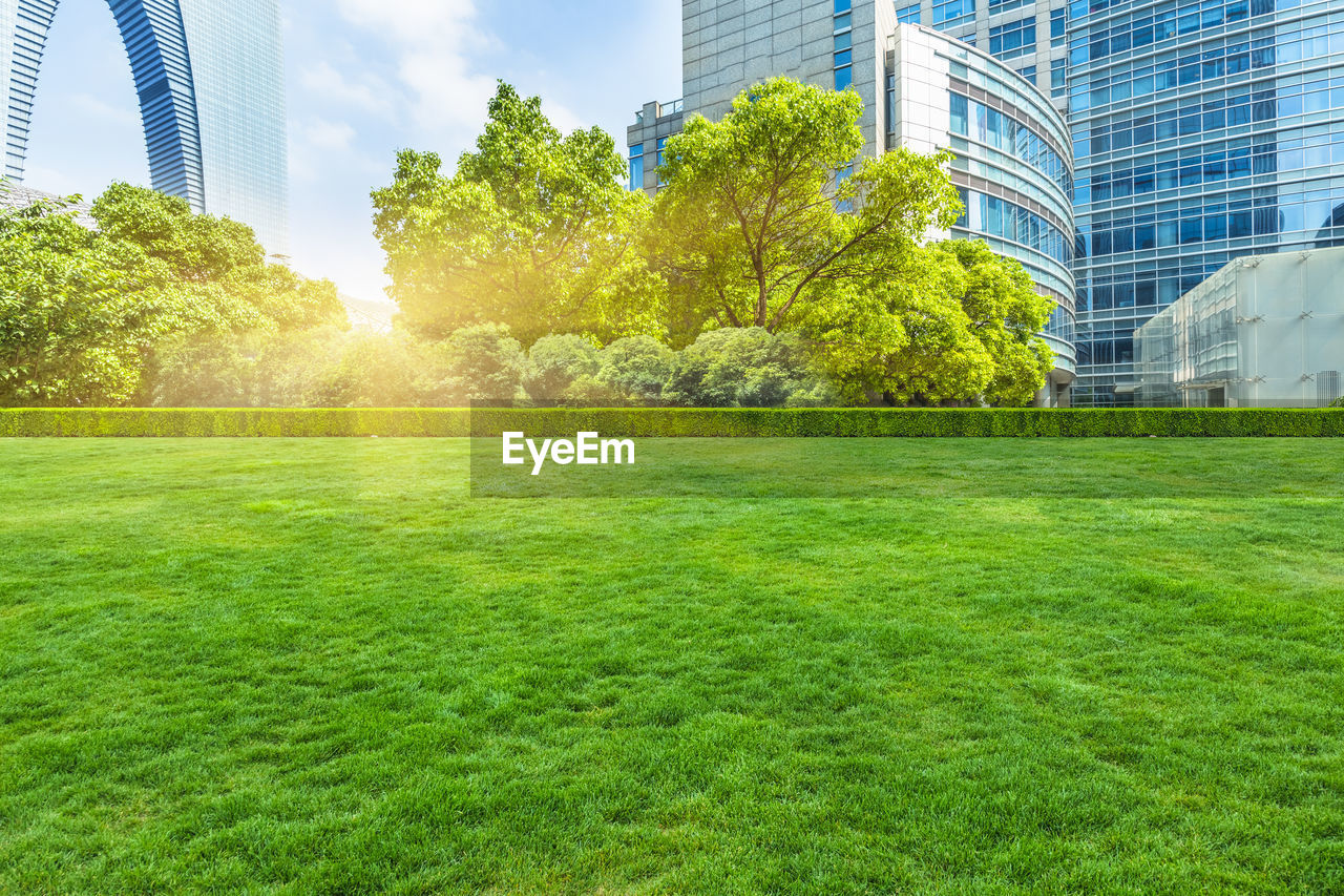 TREES GROWING IN PARK BY BUILDINGS AGAINST SKY