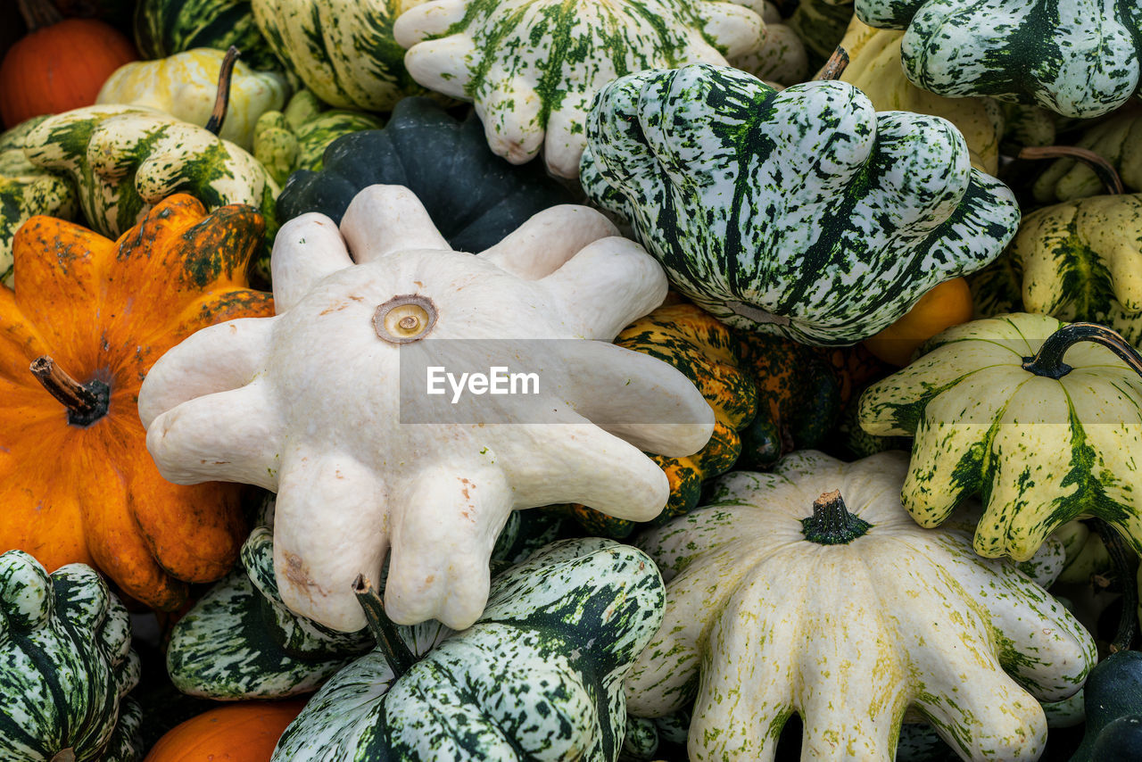 Full frame shot of pumpkins for sale