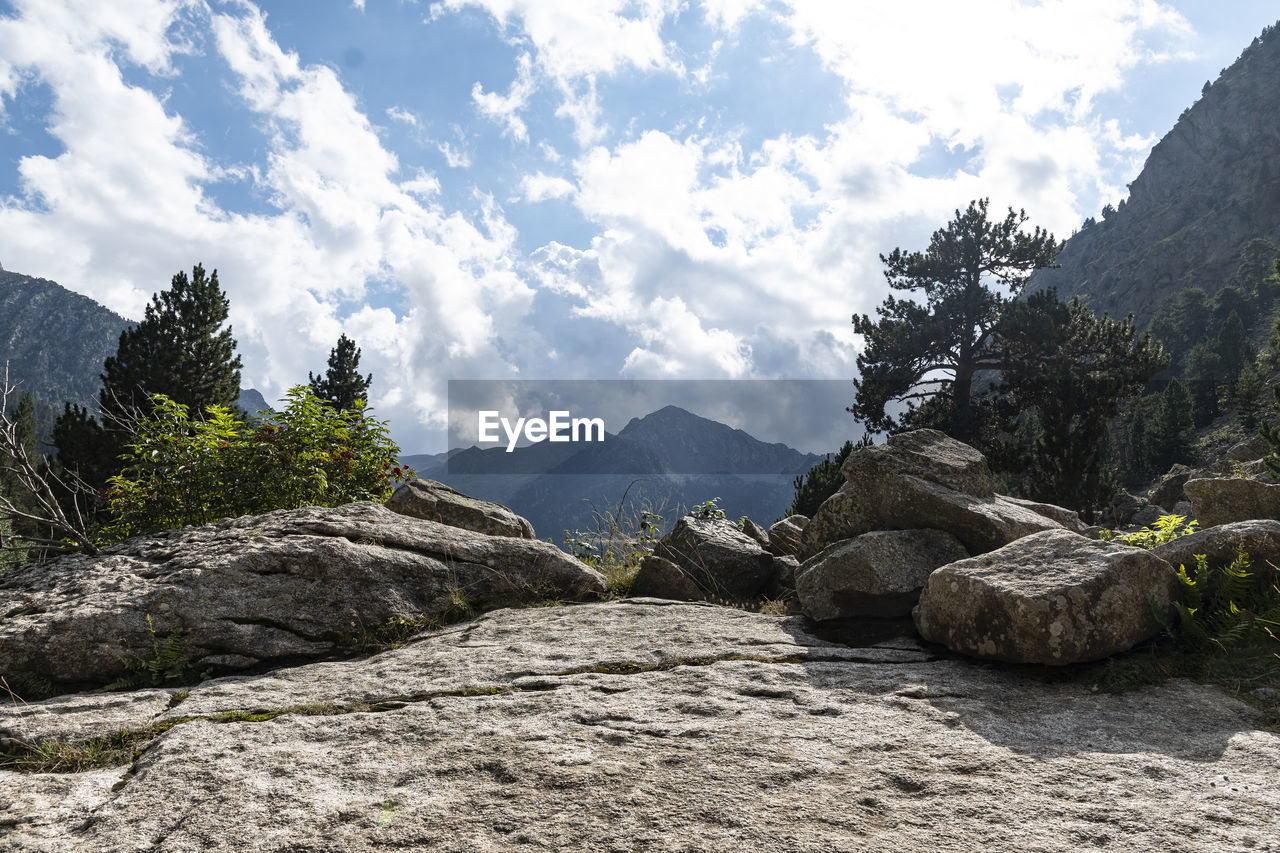 PANORAMIC VIEW OF ROCKS AND TREES AGAINST SKY
