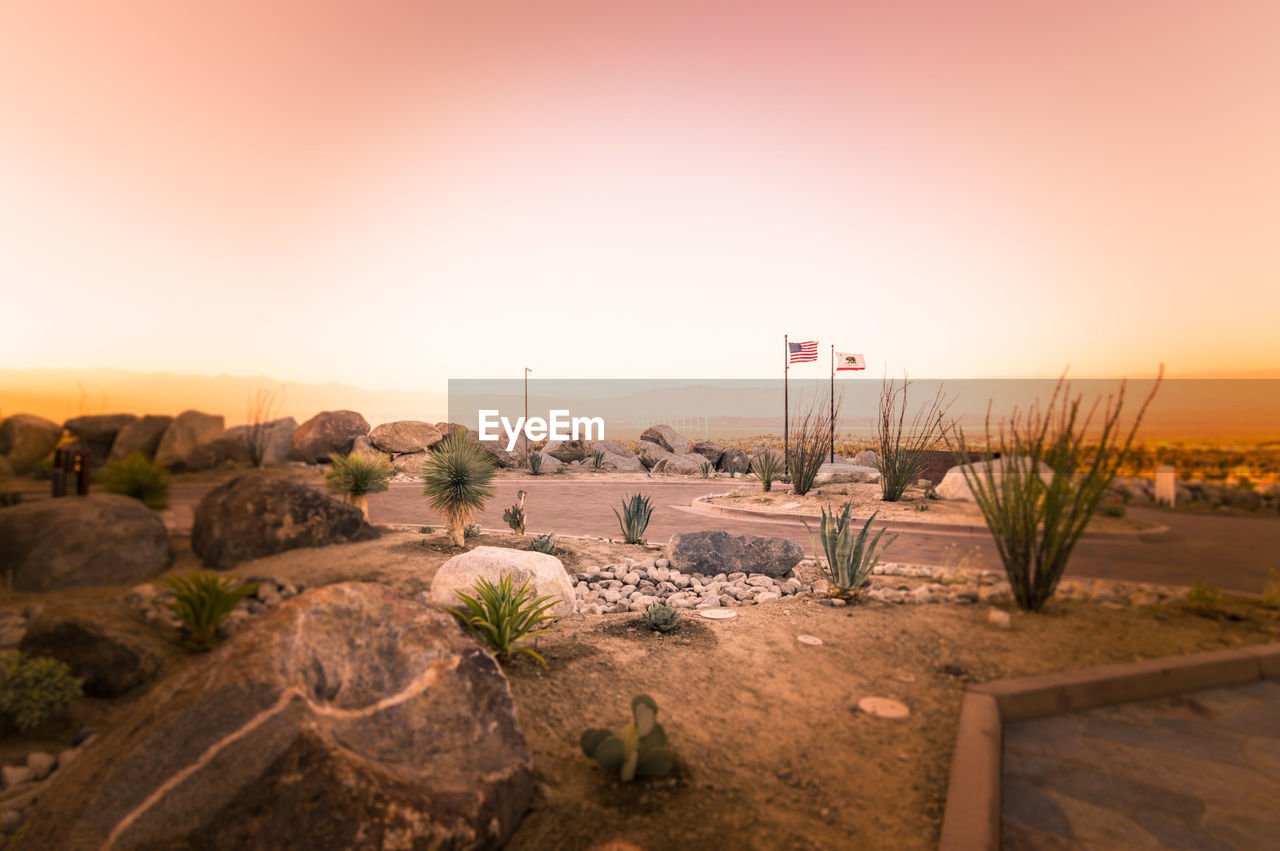 SCENIC VIEW OF DESERT AGAINST CLEAR SKY