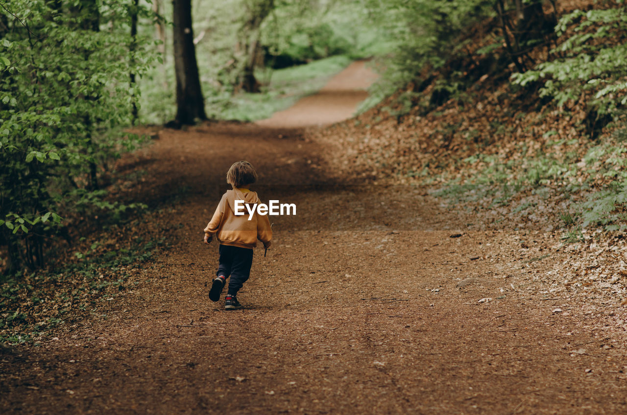 Rear view of boy walking on road in forest