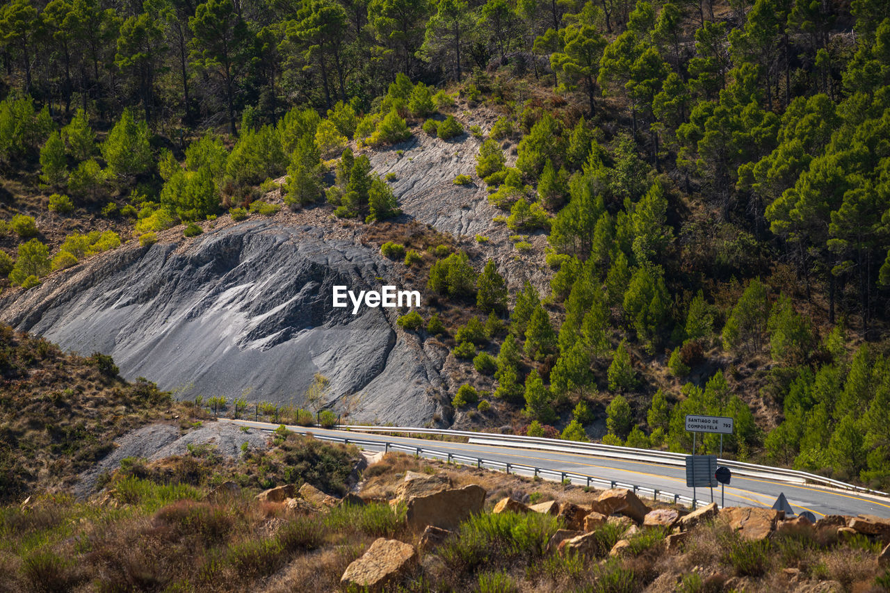 High angle view of road amidst trees and shale.