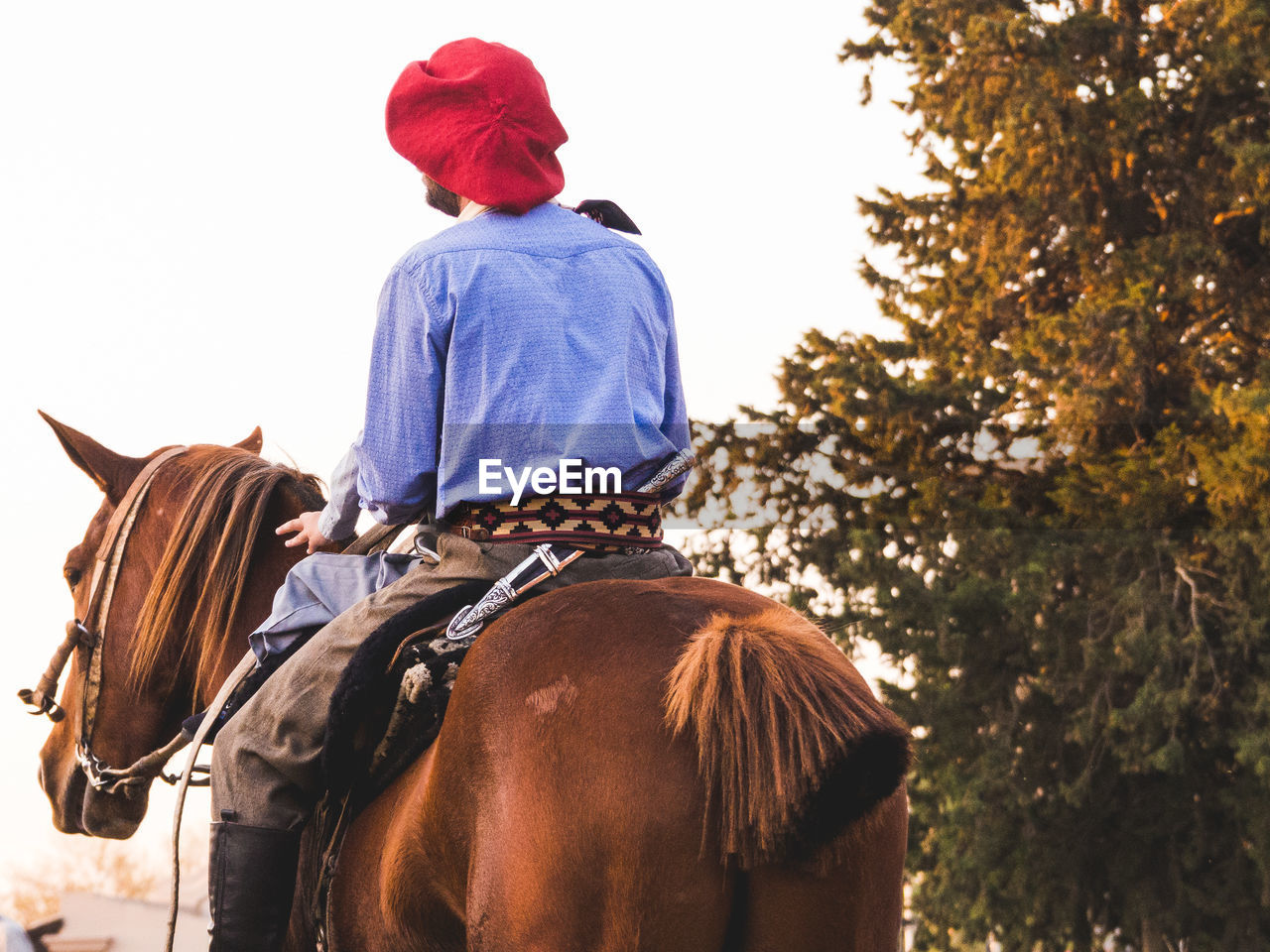 Rear view of man riding horse against clear sky