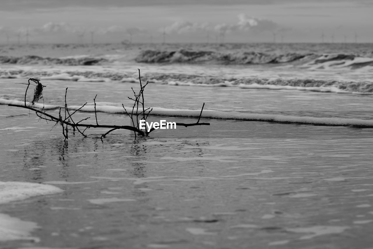 CLOSE-UP OF WATER IN SEA