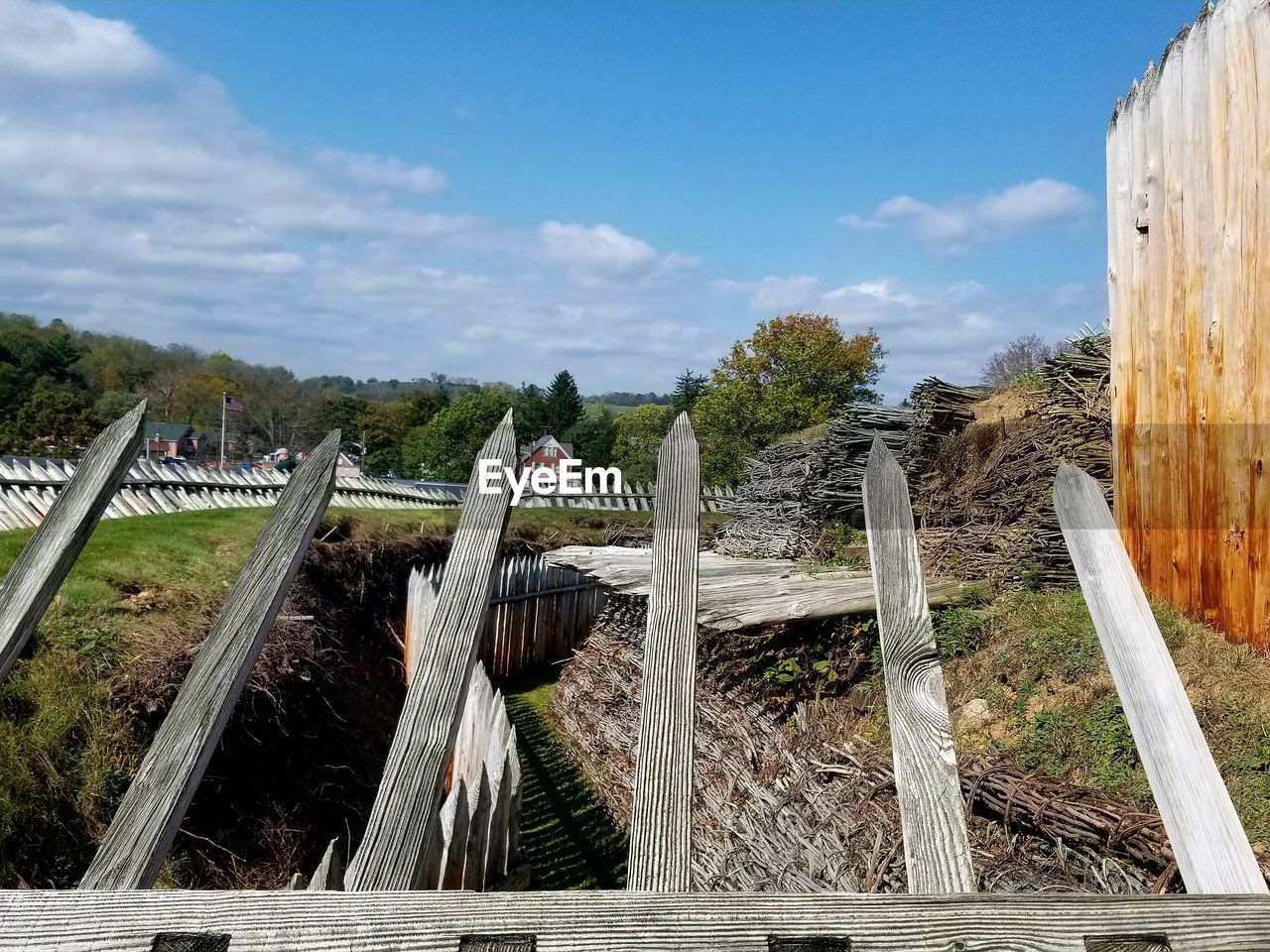 PANORAMIC VIEW OF TREES ON FIELD AGAINST SKY