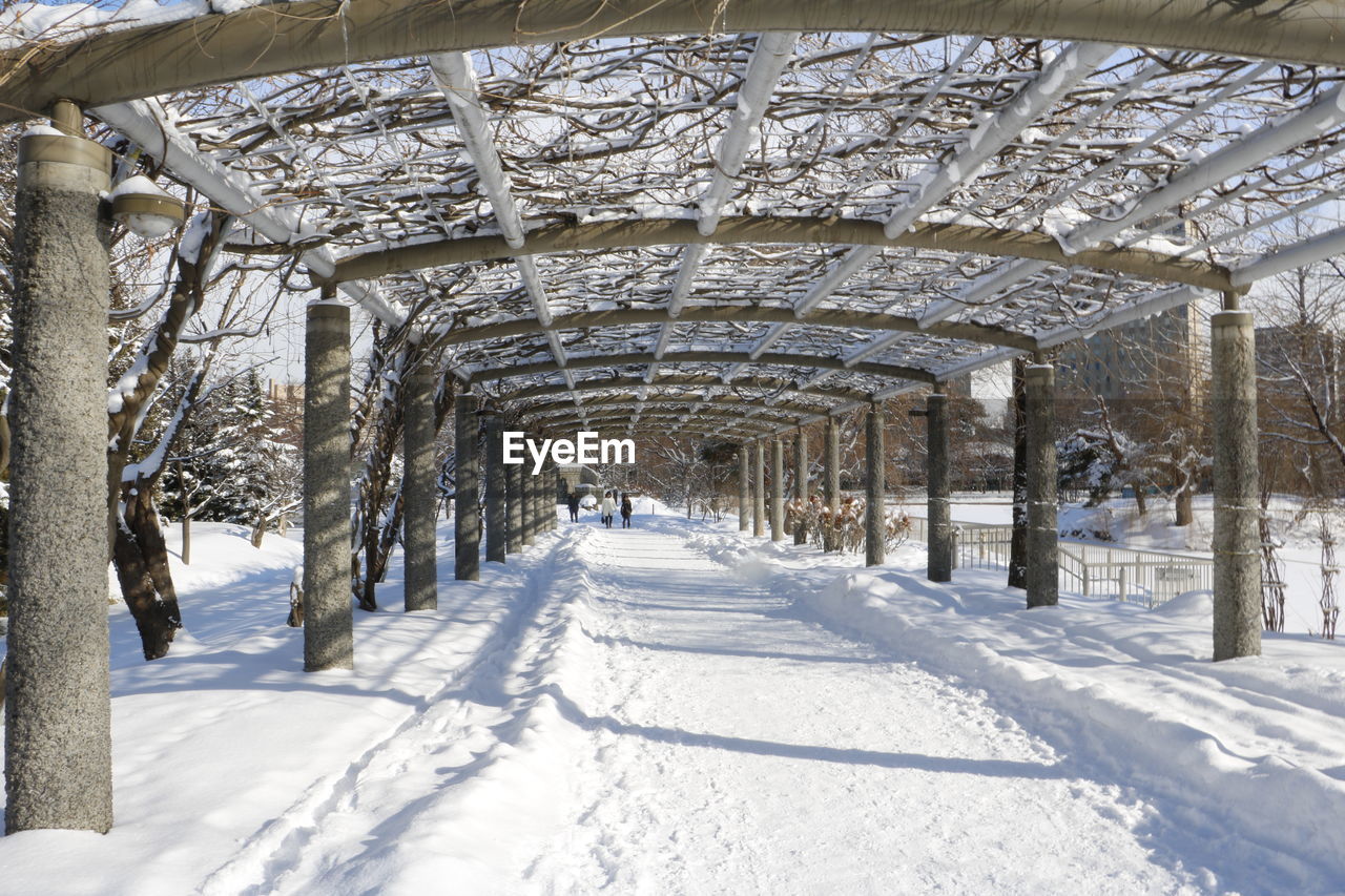 Snow covered walkway in winter