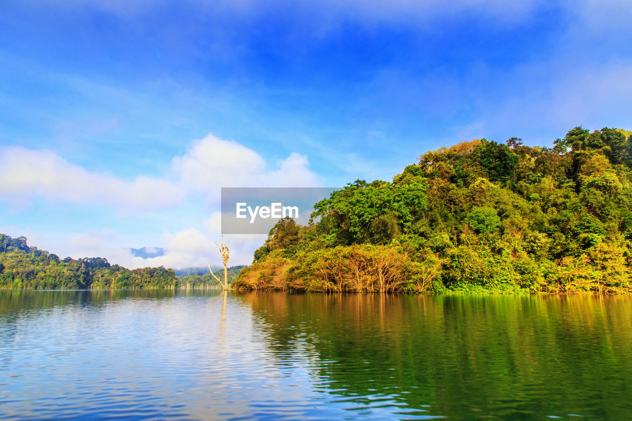 SCENIC VIEW OF LAKE AND TREES AGAINST SKY